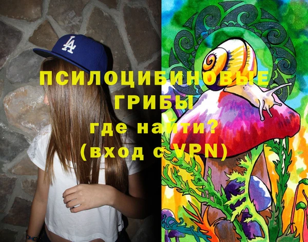 мдпв Няндома