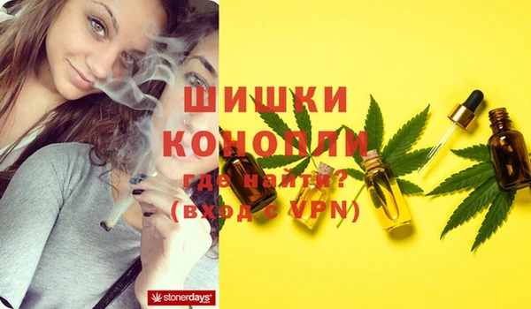 гидропоника Нягань