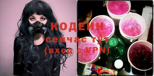 мдпв Няндома